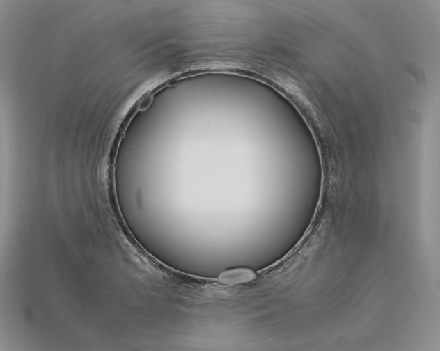 X0000115181181200911121754