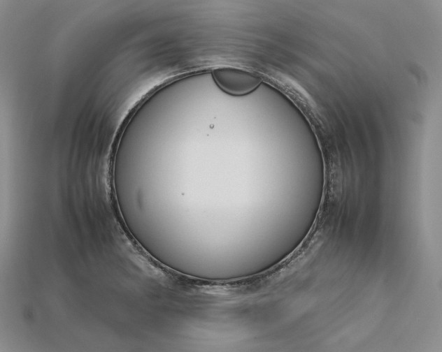 X0000115181182200911121754