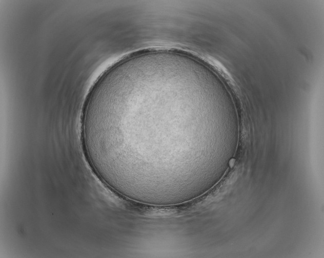 X0000115181183200911121754