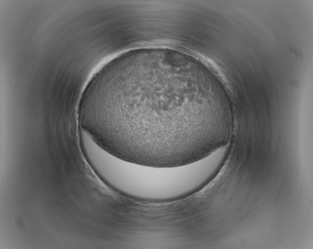 X0000115181184200911121754
