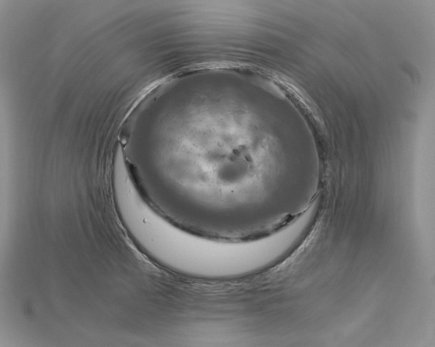 X0000115181185200911121754
