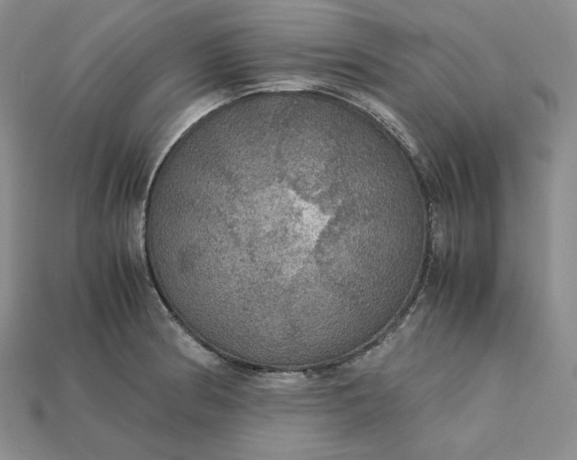 X0000115181186200911121754
