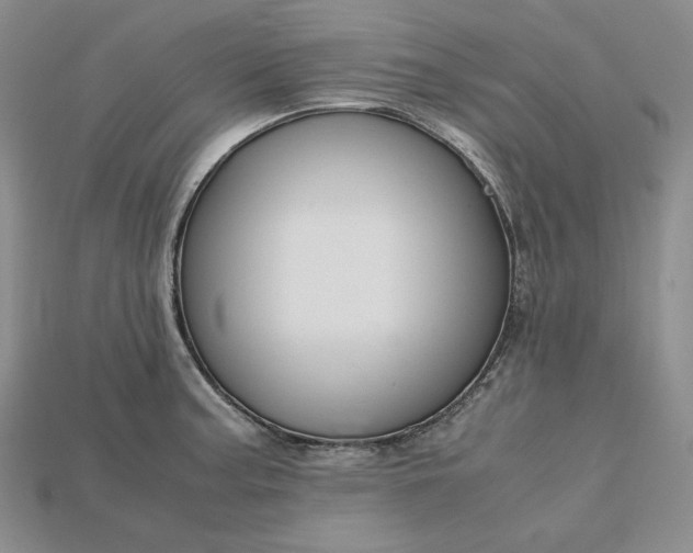 X0000115181187200911121754