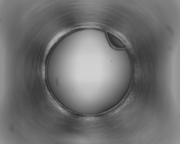 X0000115181188200911121754