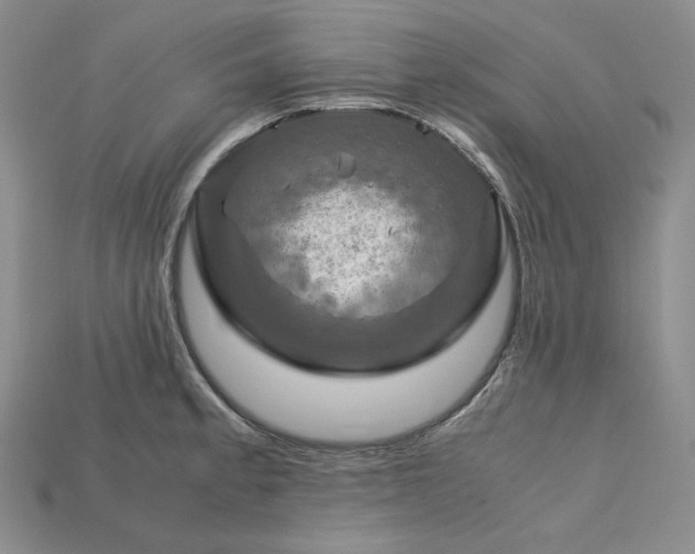 X0000115181189200911121754