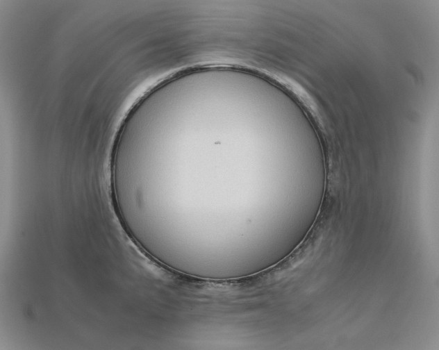 X0000115181191200911121754