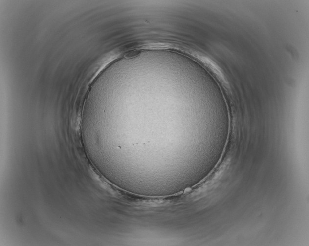 X0000115181193200911121754