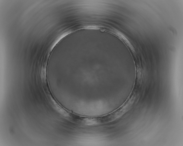 X0000115181194200911121754