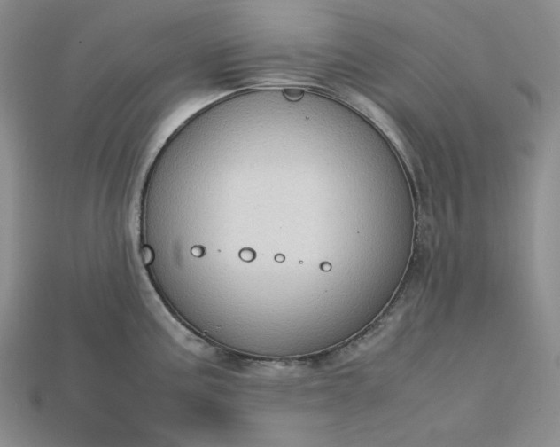 X0000115181195200911121754