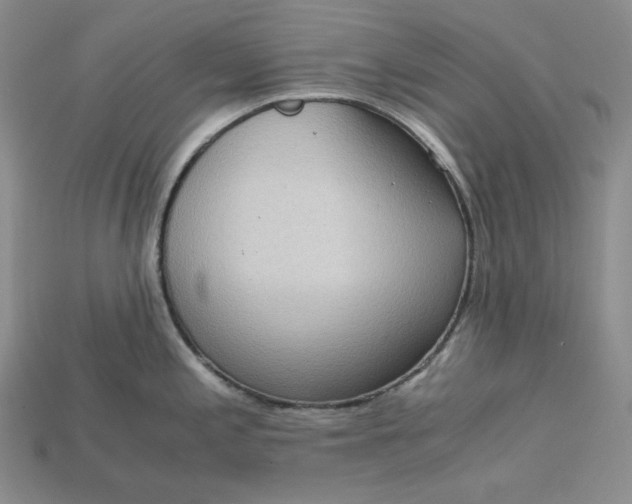 X0000115181197200911121754