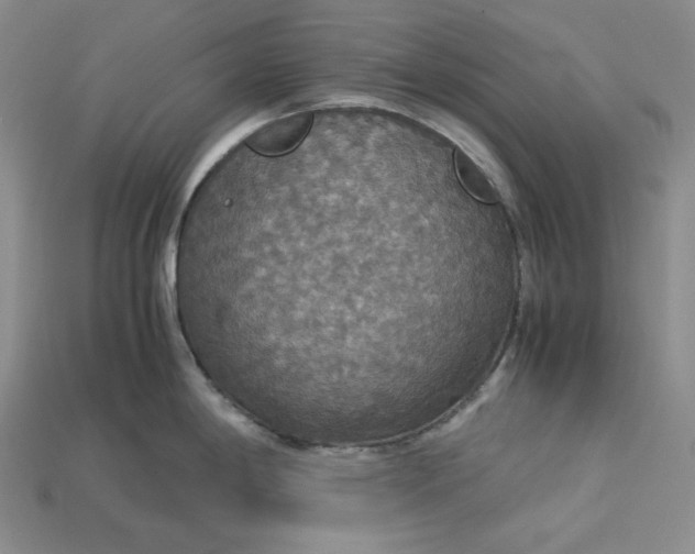 X0000115181198200911121754