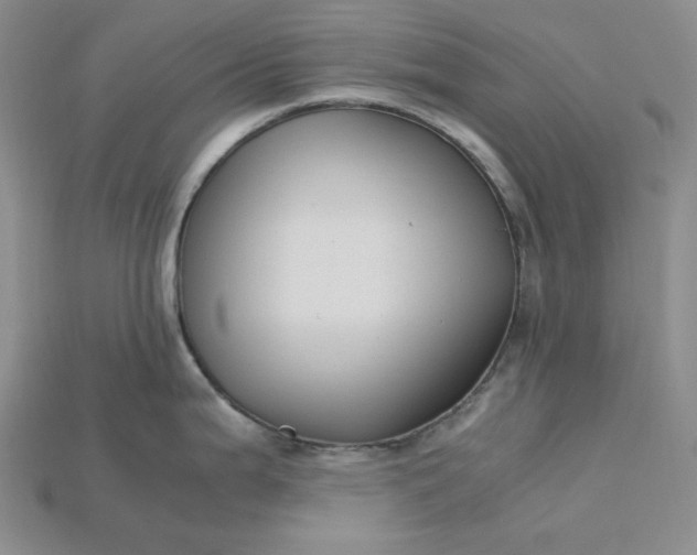 X0000115181199200911121754
