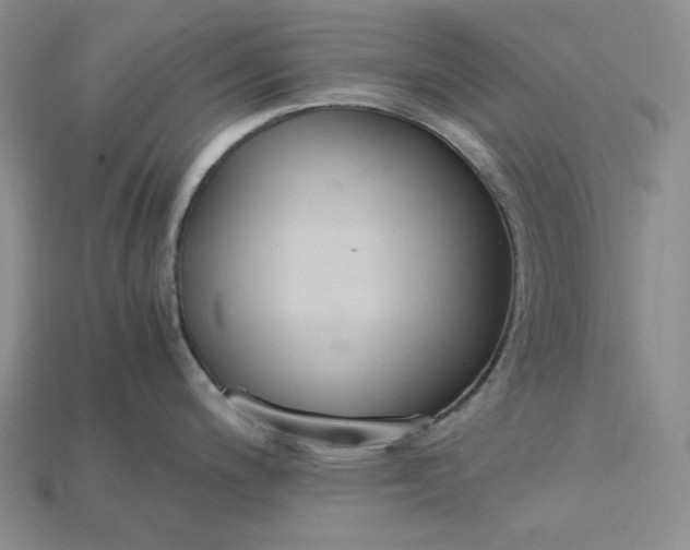 X0000115181200200911121754