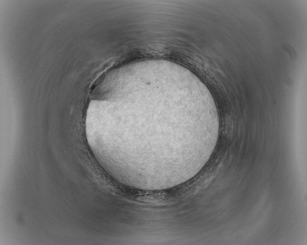 X0000115181201200911121753