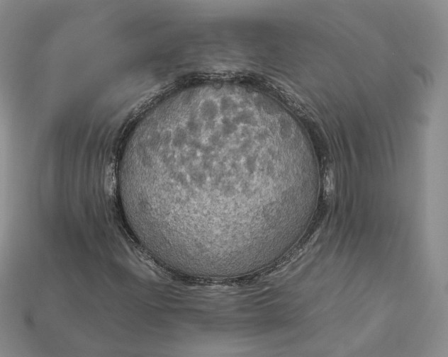 X0000115181204200911121753