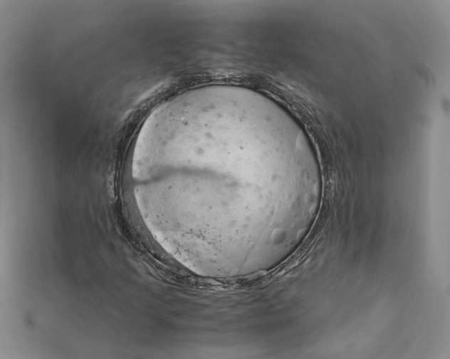 X0000115181205200911121753