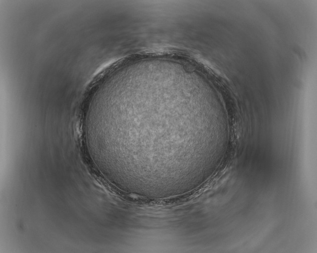 X0000115181206200911121753