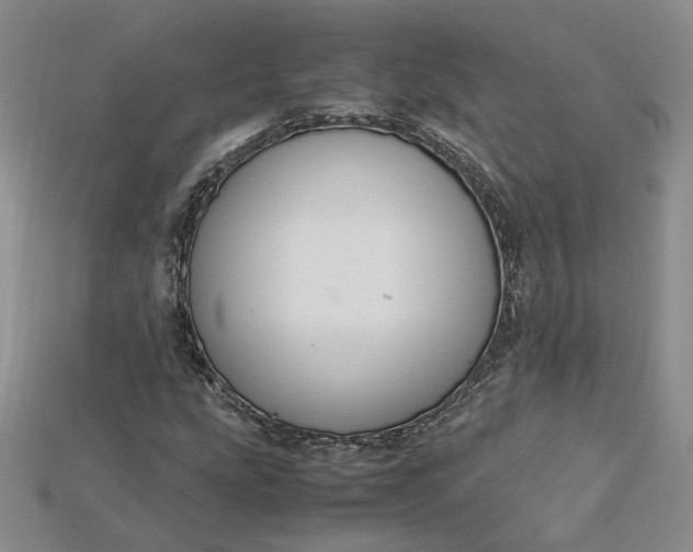 X0000115181207200911121753