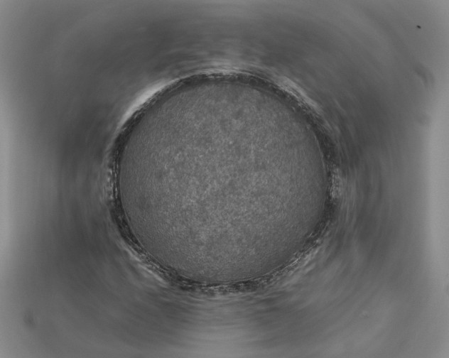 X0000115181208200911121754