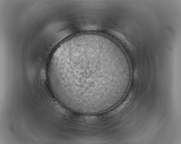 X0000115181209200911121754
