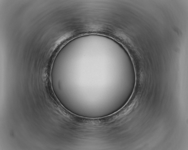 X0000115181210200911121754