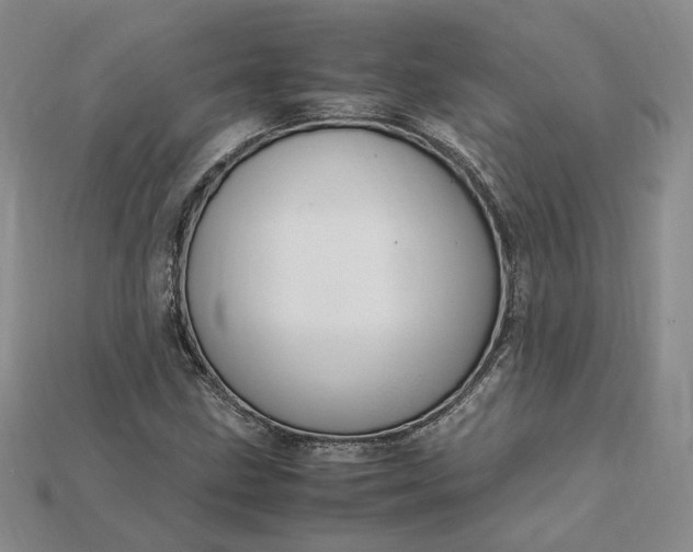 X0000115181211200911121754
