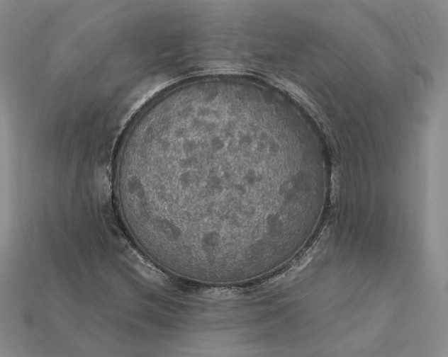 X0000115181212200911121754