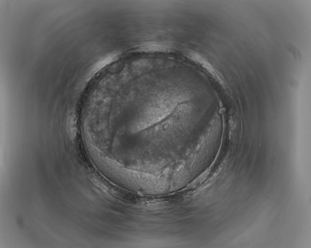X0000115181213200911121754