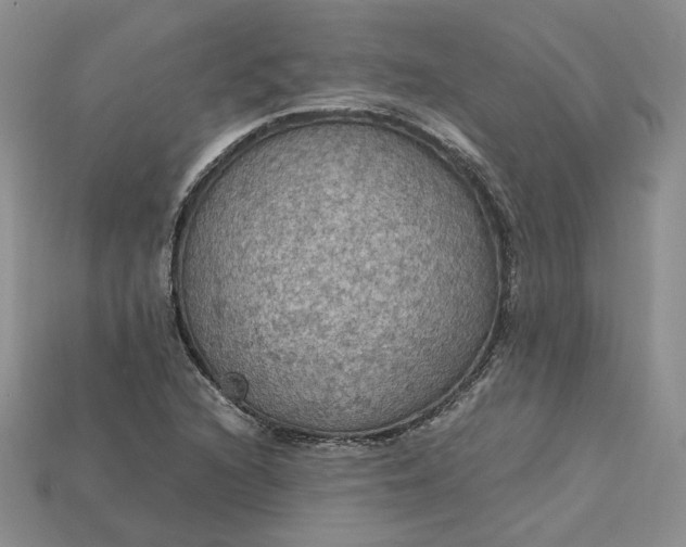 X0000115181216200911121754