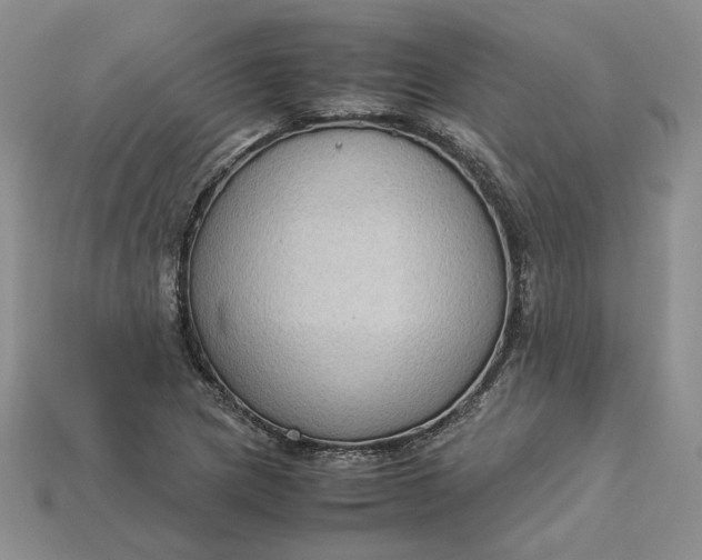 X0000115181217200911121754
