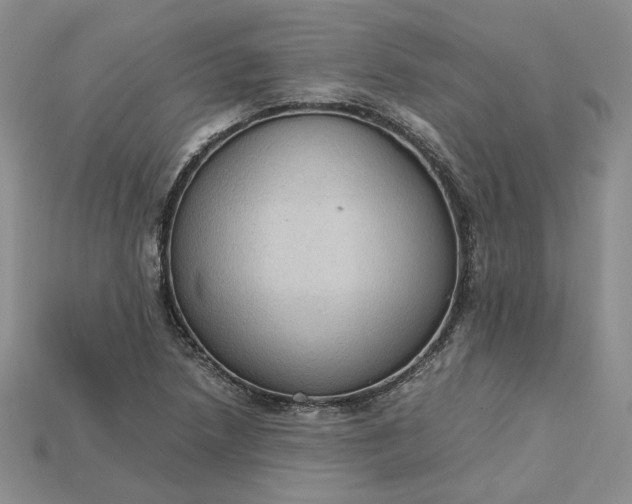 X0000115181218200911121754