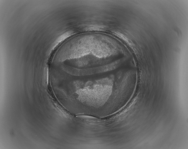 X0000115181219200911121754