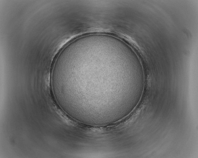 X0000115181220200911121754