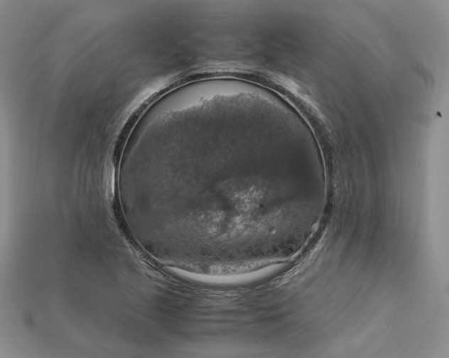 X0000115181221200911121754