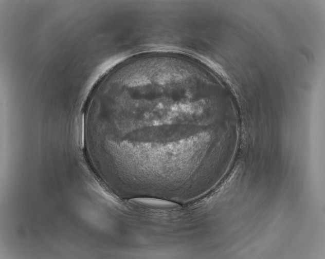 X0000115181223200911121754