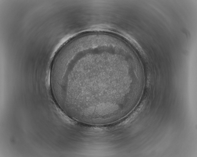 X0000115181224200911121754
