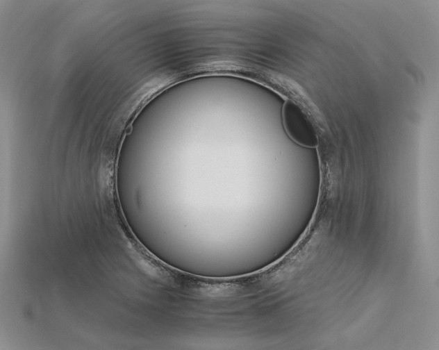X0000115181225200911121754