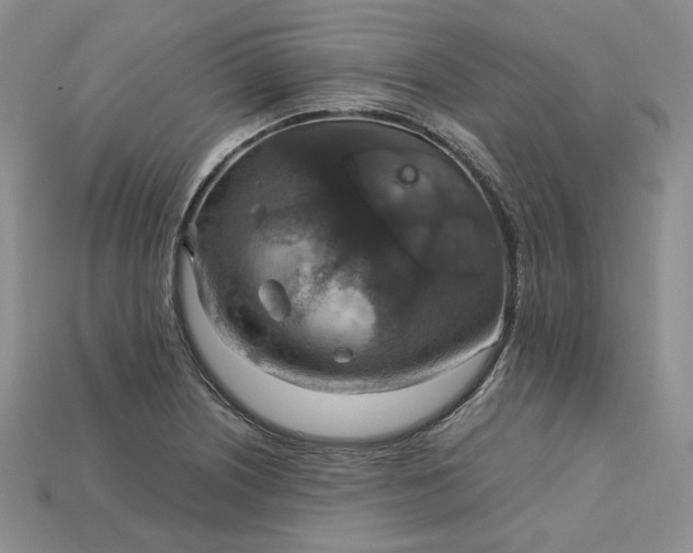X0000115181226200911121754