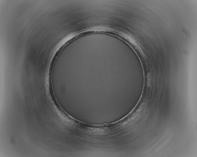 X0000115181229200911121754