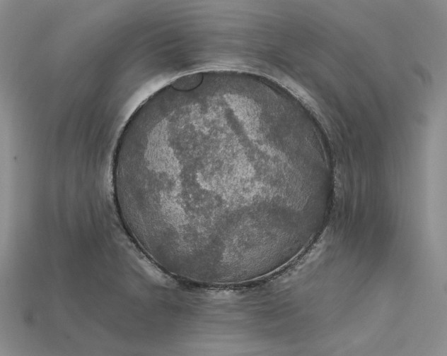 X0000115181230200911121754