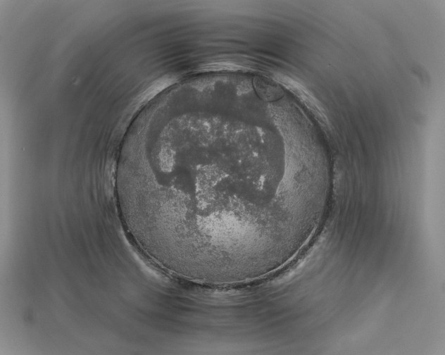 X0000115181233200911121754