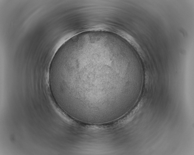 X0000115181234200911121754