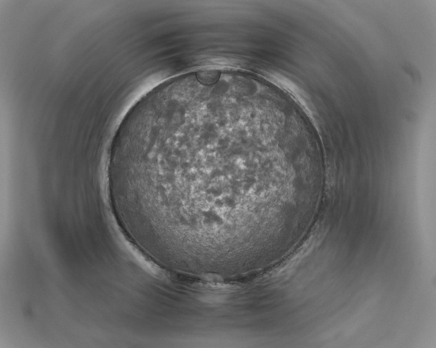X0000115181235200911121754