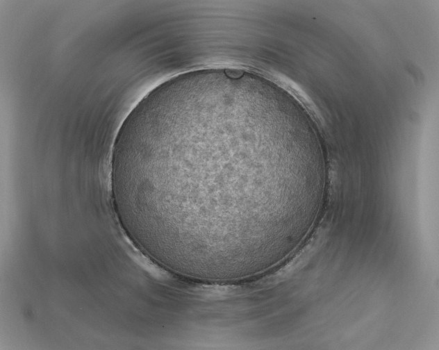 X0000115181236200911121754