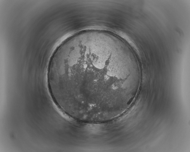 X0000115181237200911121754
