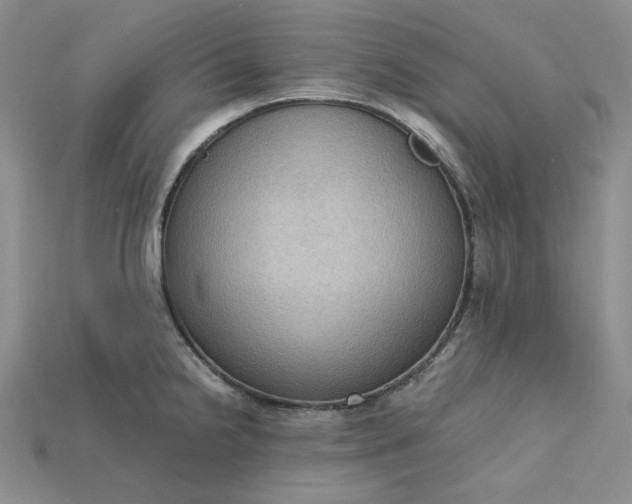 X0000115181238200911121754