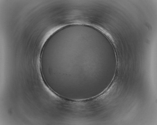 X0000115181239200911121754