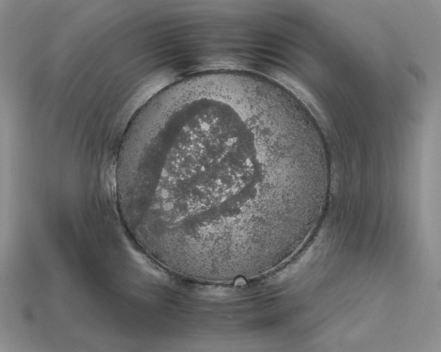 X0000115181241200911121754