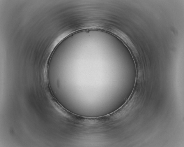 X0000115181242200911121754