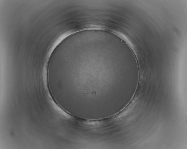 X0000115181243200911121754